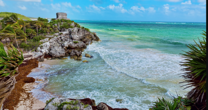 ¿Piensas comprar un inmueble en Tulum? Toma en cuenta estos consejos